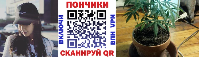 Бошки Шишки MAZAR блэк спрут зеркало Каневская